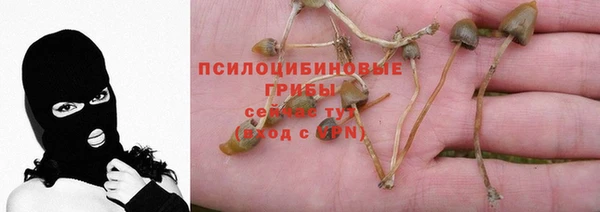 скорость Нягань