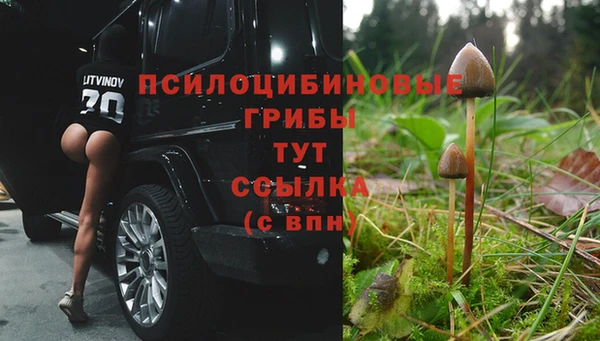 скорость Нягань